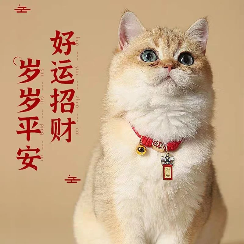 猫咪项圈猫牌免费定制刻字防丢失名牌小狗狗铃铛项链宠物脖饰脖圈