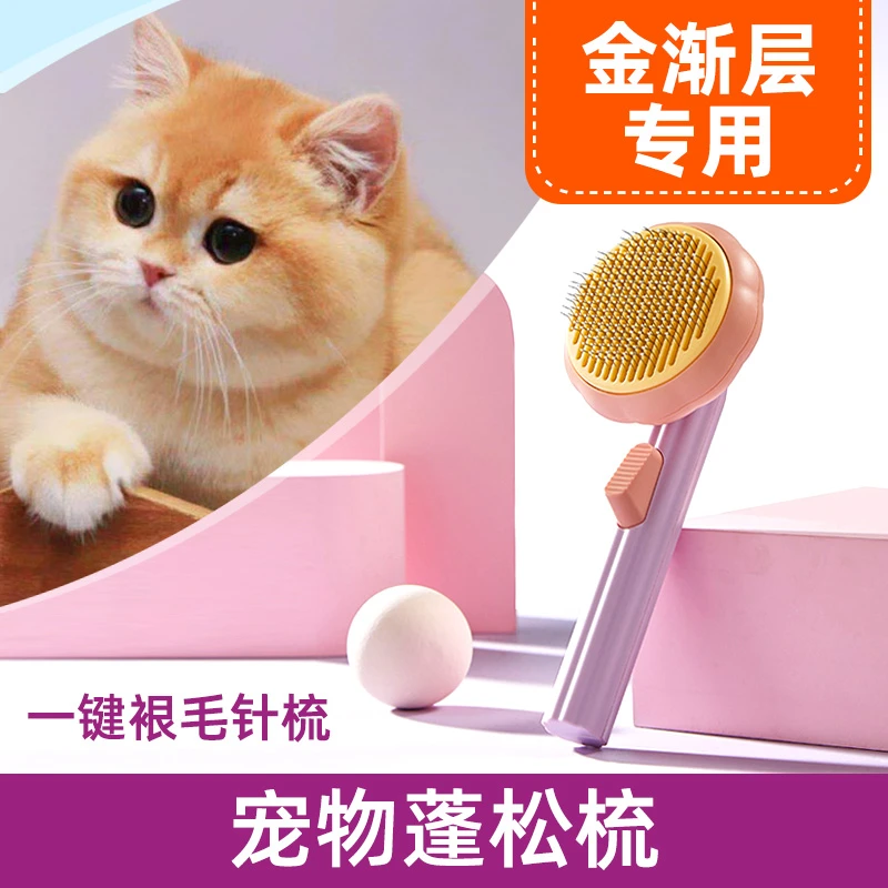 金渐层猫咪专用宠物蓬松梳美容推荐平价针梳神奇小白梳去毛犬通用