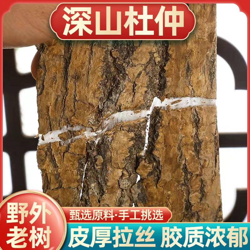 50年四川老杜仲树皮杜仲厚块炒杜仲粉泡茶泡酒精力耐力杜仲皮