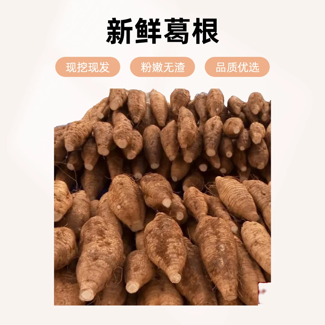 葛根新鲜广西桂林现挖现发粉嫩无渣非野生葛薯煲汤精选5斤包邮