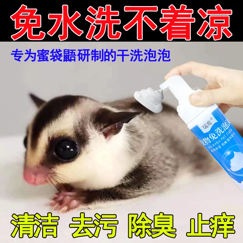 蜜袋鼯干洗泡沫免洗深层洁净靓毛护肤蜜袋鼯专用泡沫洗澡必备用品
