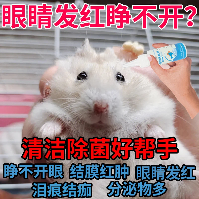 仓鼠滴眼液小宠洗眼液去眼睛红血丝红肿发红去泪痕眼屎清洁用品