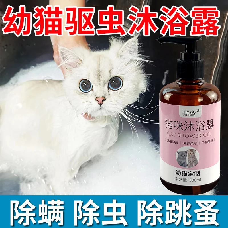 幼猫宠物猫咪专用除蚤香波沐浴露驱虫除螨清洁留香毛发去黄去污