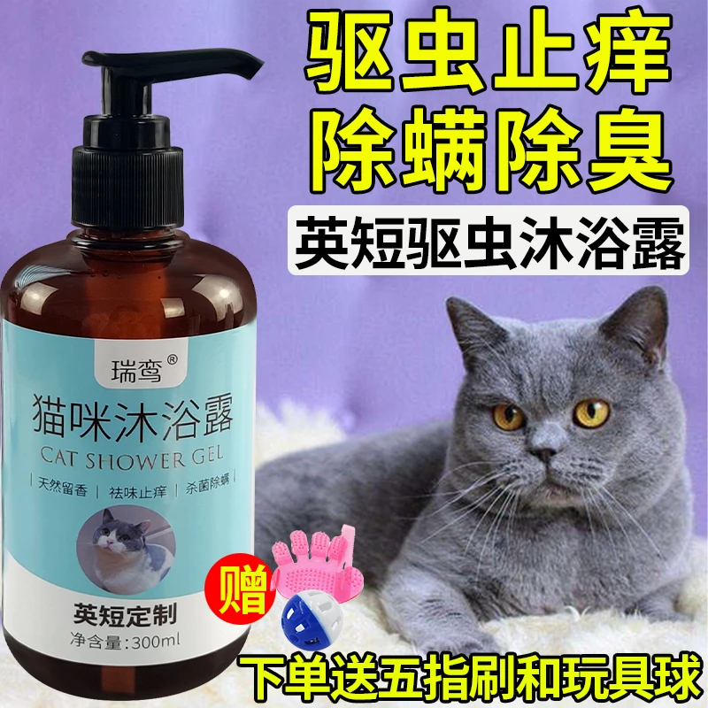 英短蓝猫专用沐浴露祛味止痒杀菌除螨除蚤柔顺猫咪洗澡二合一浴液
