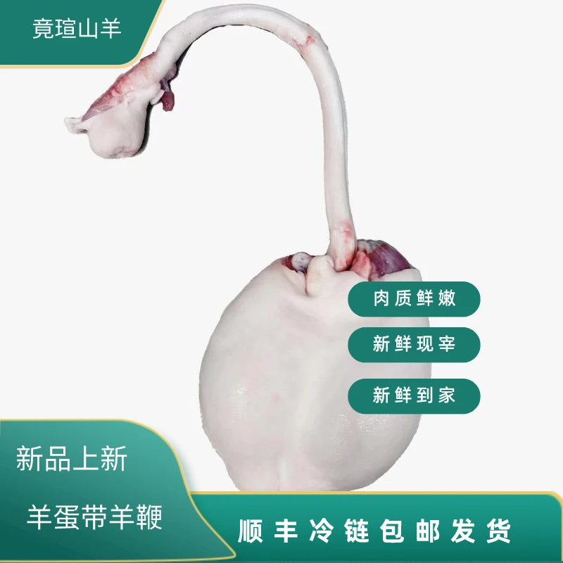 （爆款）四斤羊枪羊宝苏北农户散养山羊新鲜现宰带皮羊蛋羊宝