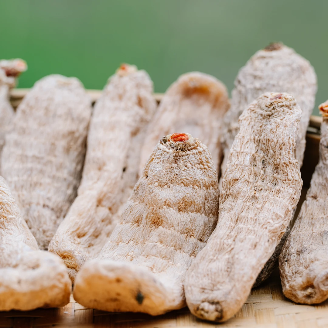 贵州高海拔天麻之乡精选干天麻村生莫