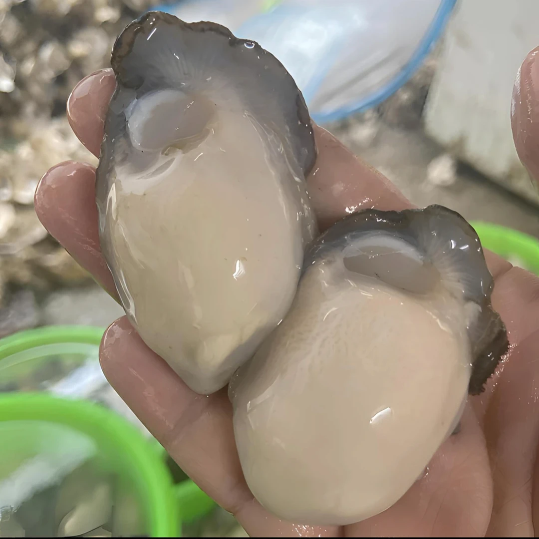 新鲜大个现剥生蚝肉含原浆顺丰冷链配送