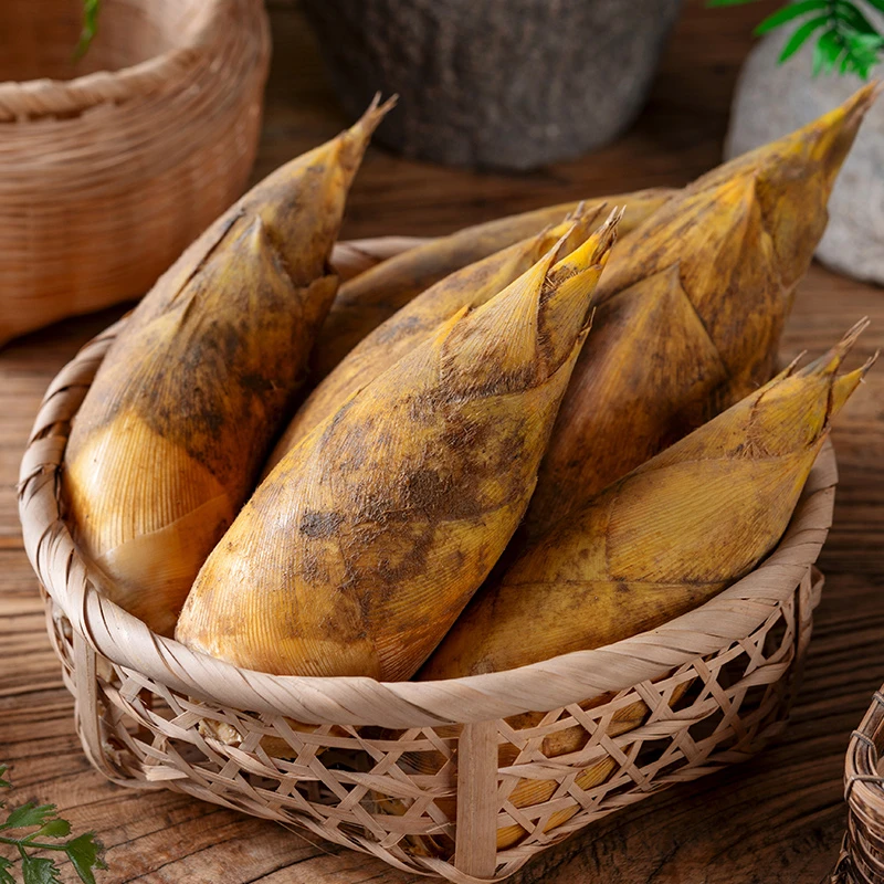 【顺丰】临安冬笋竹笋新鲜现挖产地直发深山美味鲜嫩