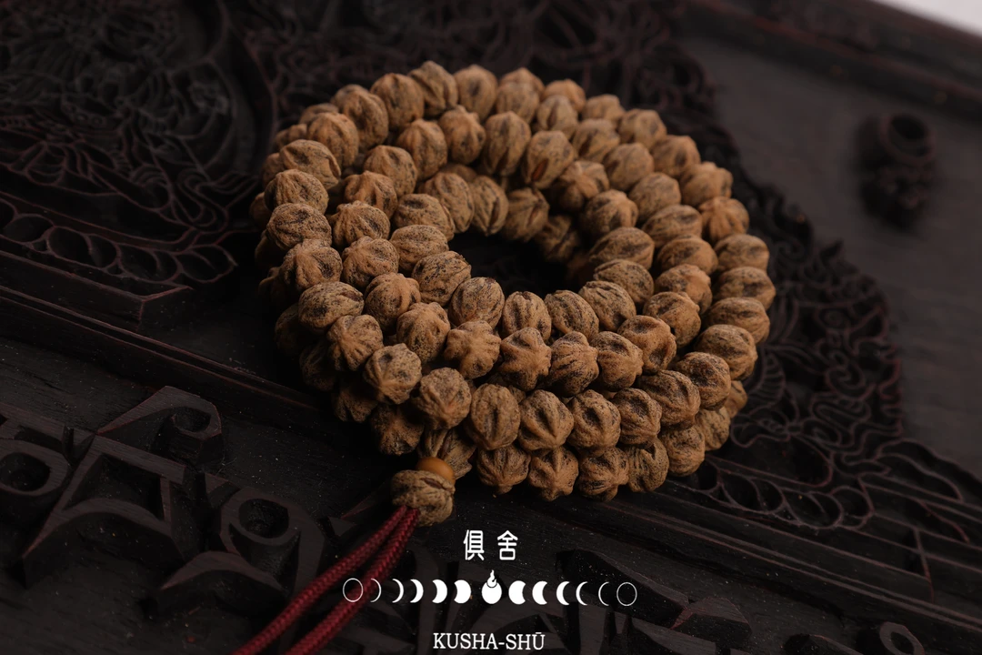 俱舍出品热振红芽口横打柏香籽长串