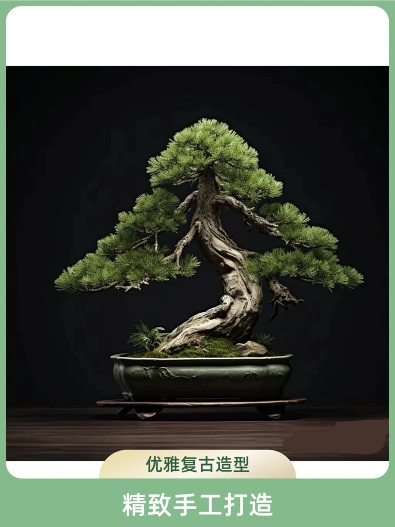 罗汉松盆景【一物一拍】植物造型景观四季常青真树老桩