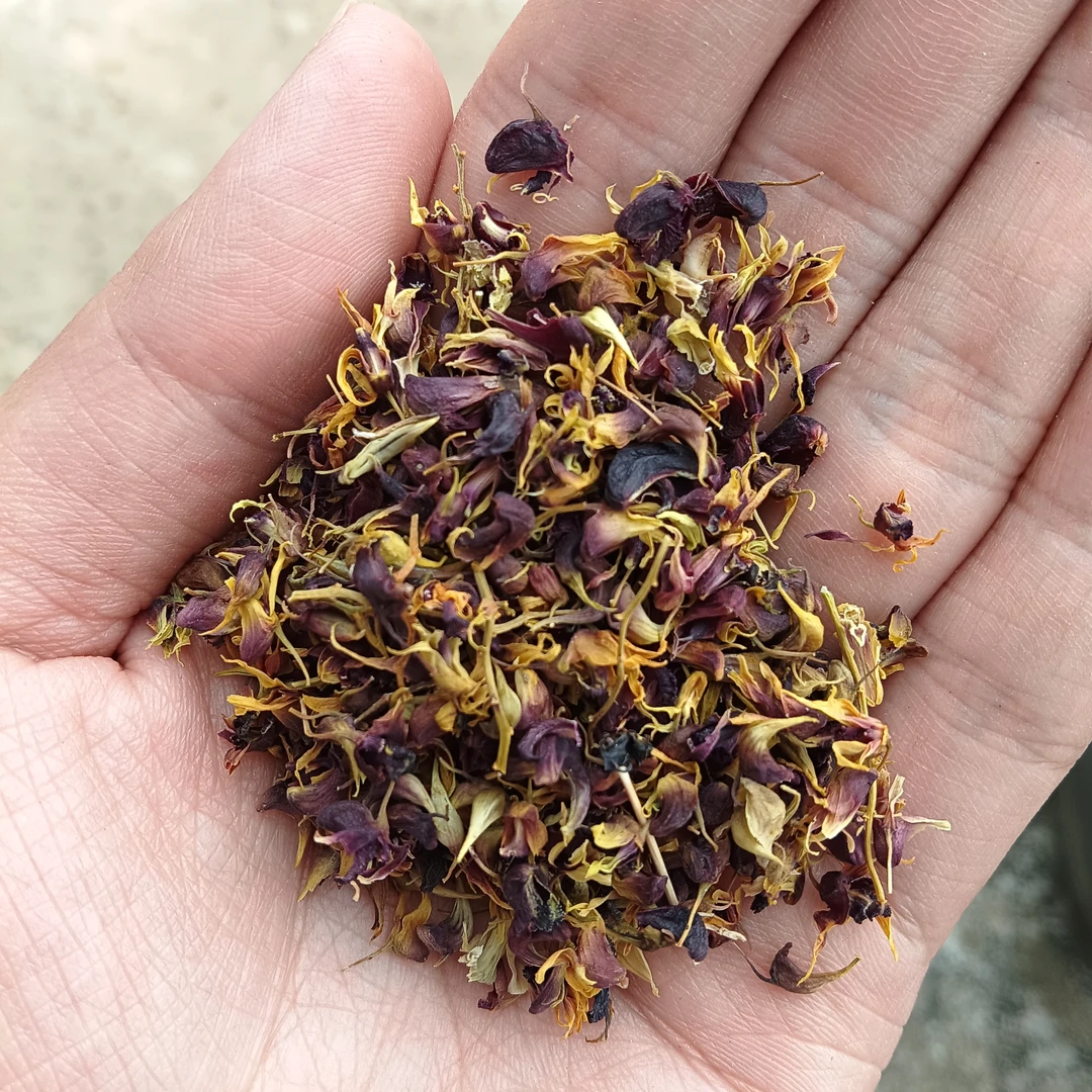 云乡土特产 【珍虫石斛花】云南山货干货 珍虫花