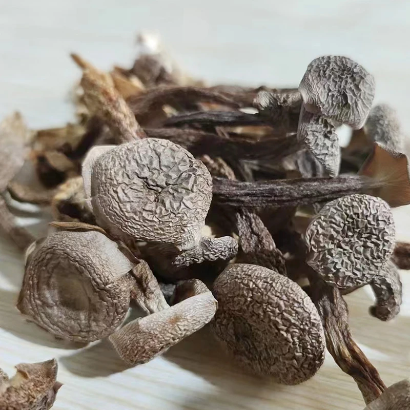 云乡土特产 【鹿茸菇】云南山货干货