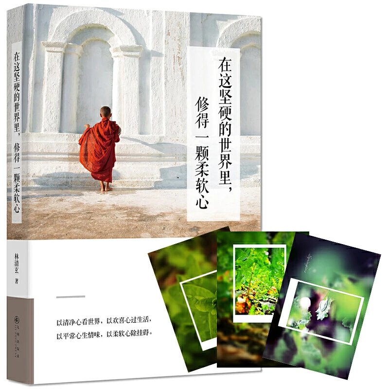 在这坚硬的世界里 修得一颗柔软心林清玄现当代文学散文随笔书籍