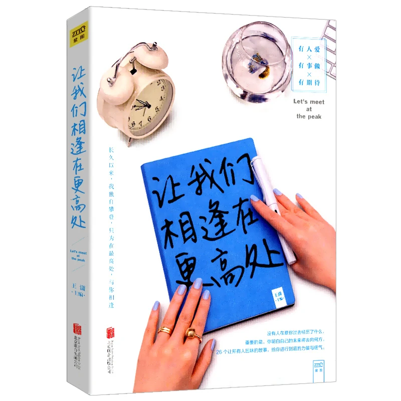 让我们相逢在更高处 王潇 励志偶像潇洒姐女人明白要趁早 书籍