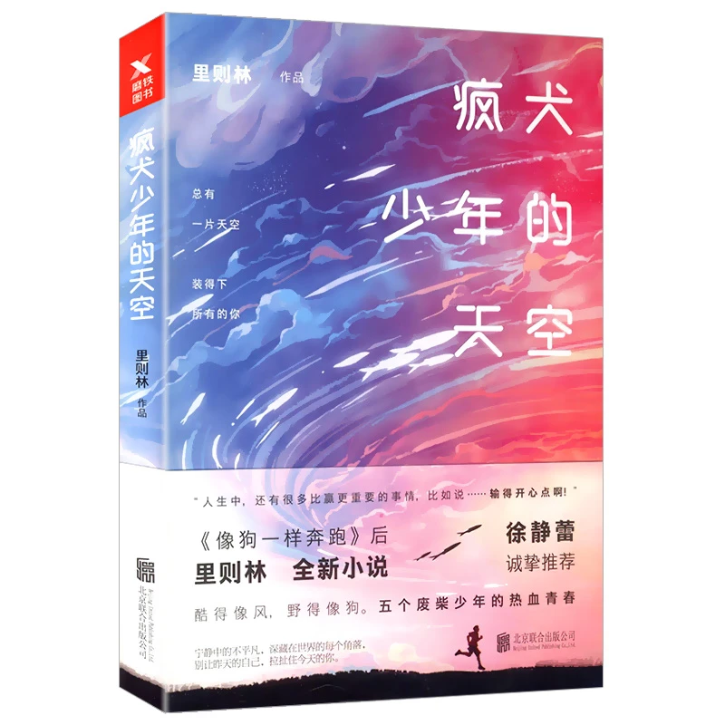 疯犬少年的天空  里则林改编电影燃野少年的天空成长励志小说书籍
