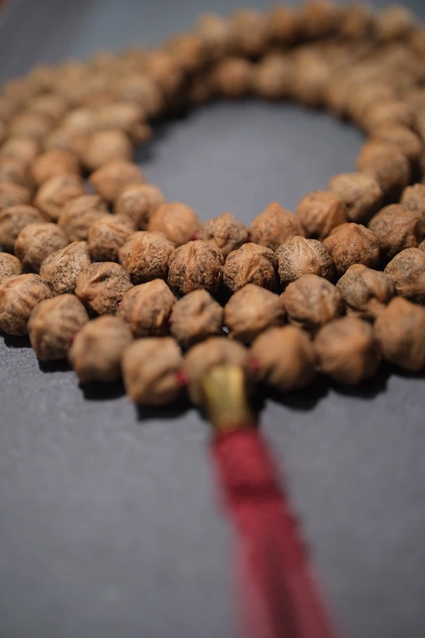 精工热振柏香籽横打脏鬼