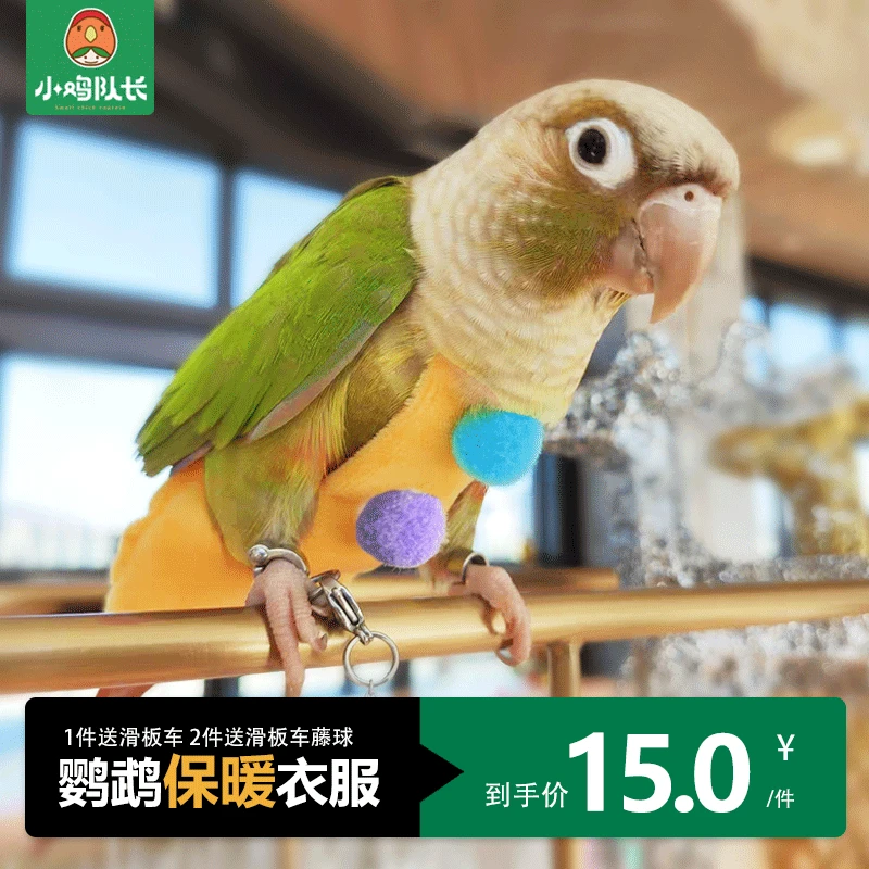 鹦鹉保暖衣服牡丹虎皮玄风秋冬披风小斗篷披肩过冬神器专用放飞服