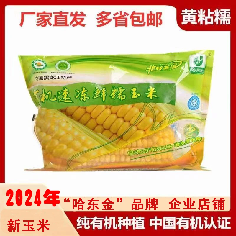 哈东金有机速冻鲜糯玉米棒非转基因新鲜香甜黏粘苞米黄东北黑龙江