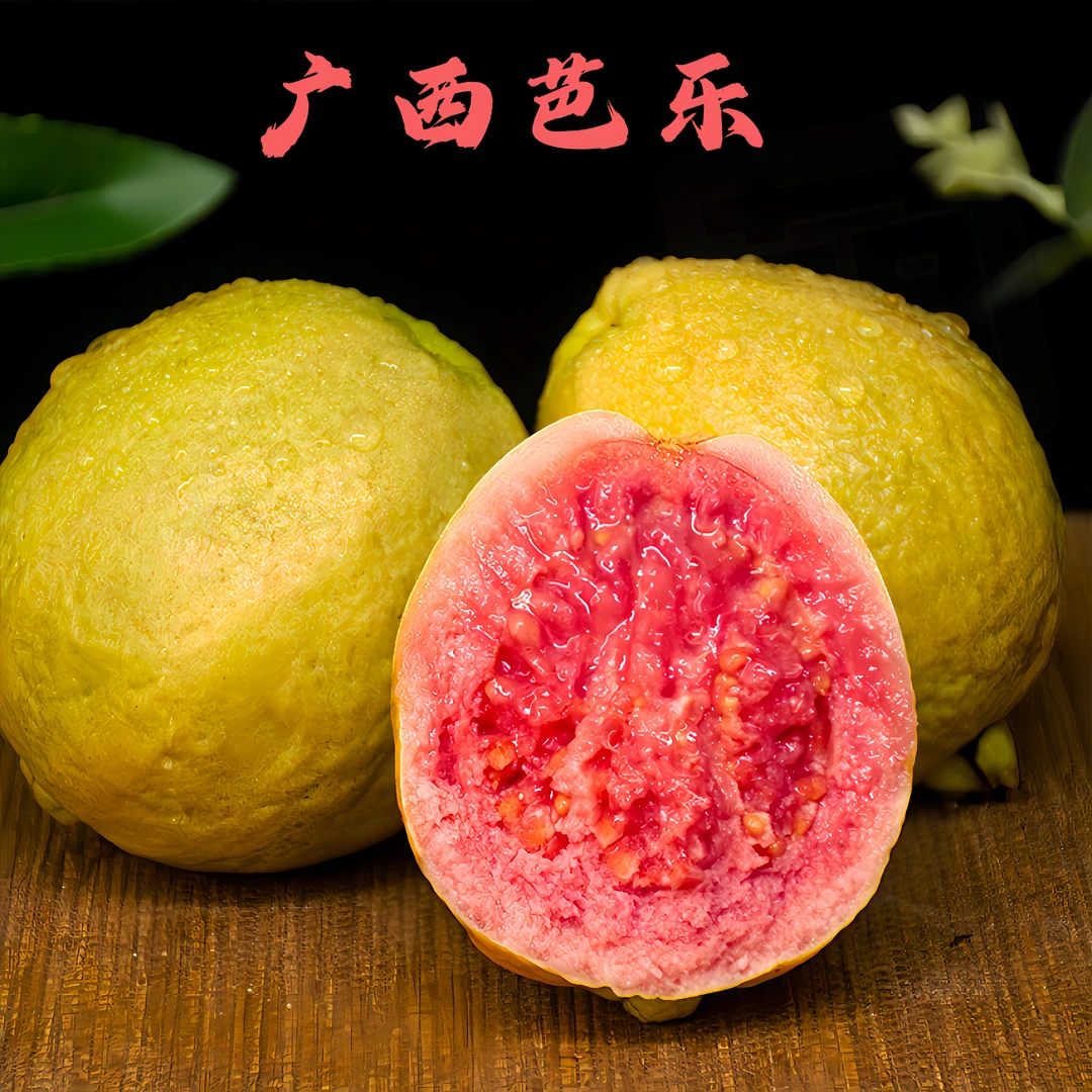广西产地种植软糯酸甜红心芭乐新鲜采摘老树果好吃