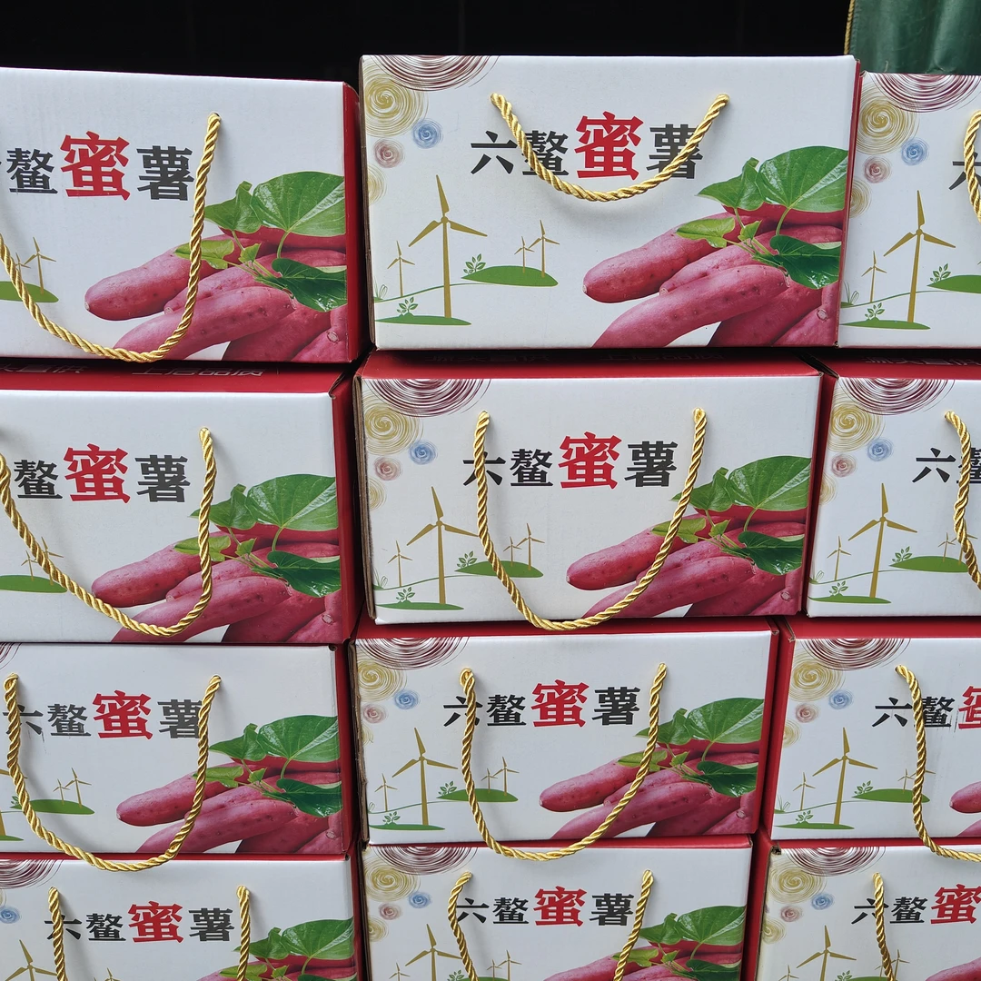 六鳌红蜜薯红薯沙地蜜薯番薯