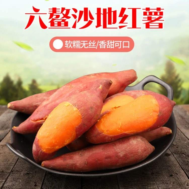福建特产 六鳌地瓜六鳌红蜜薯沙地蜜薯红薯番薯软糯香甜3-9斤装