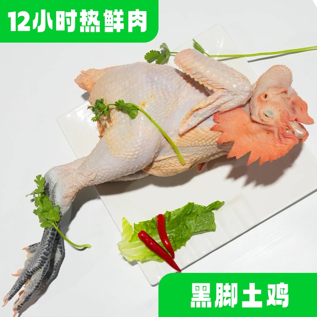 热鲜黑脚土鸡 12小时热鲜肉正宗山养黑脚土鸡整只