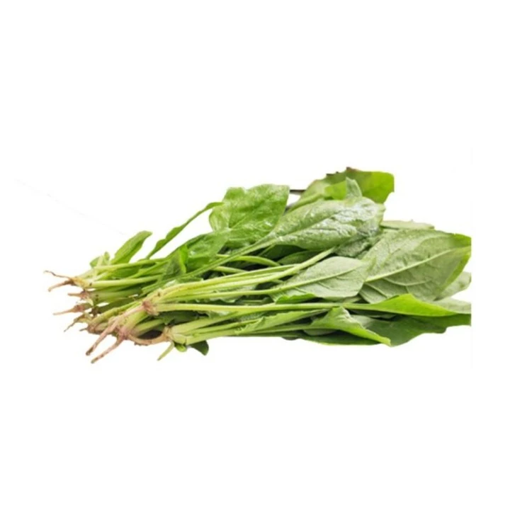 【直播专享】菠菜一把
