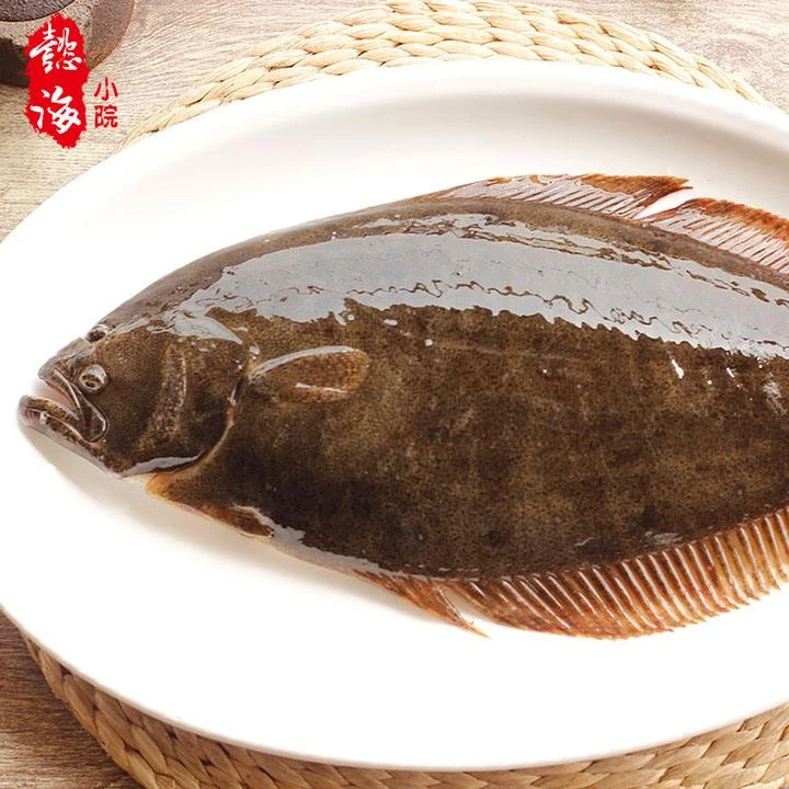 大连本地牙片鱼6.2斤（1条）
