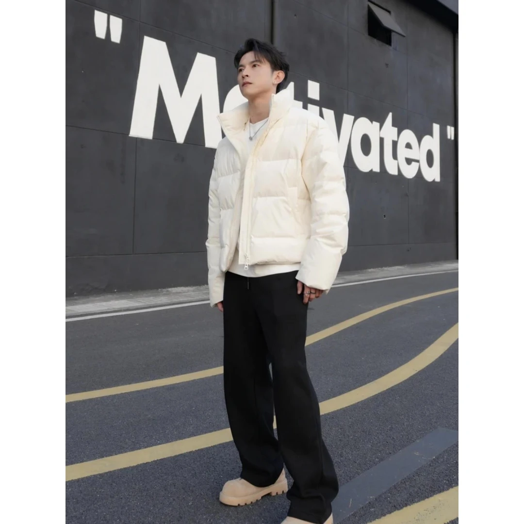 90白鸭绒cleanfit潮流百搭短款羽绒服男冬季加厚保暖立领无帽外套