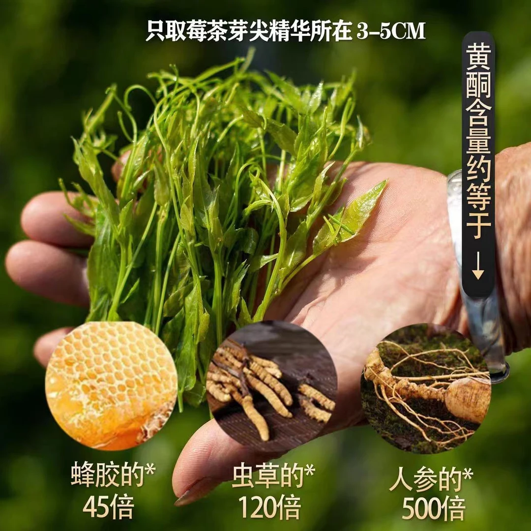 藤茶【拍1发9】来凤藤茶龙须芽尖正土家手工藤茶霉茶特产30g/瓶