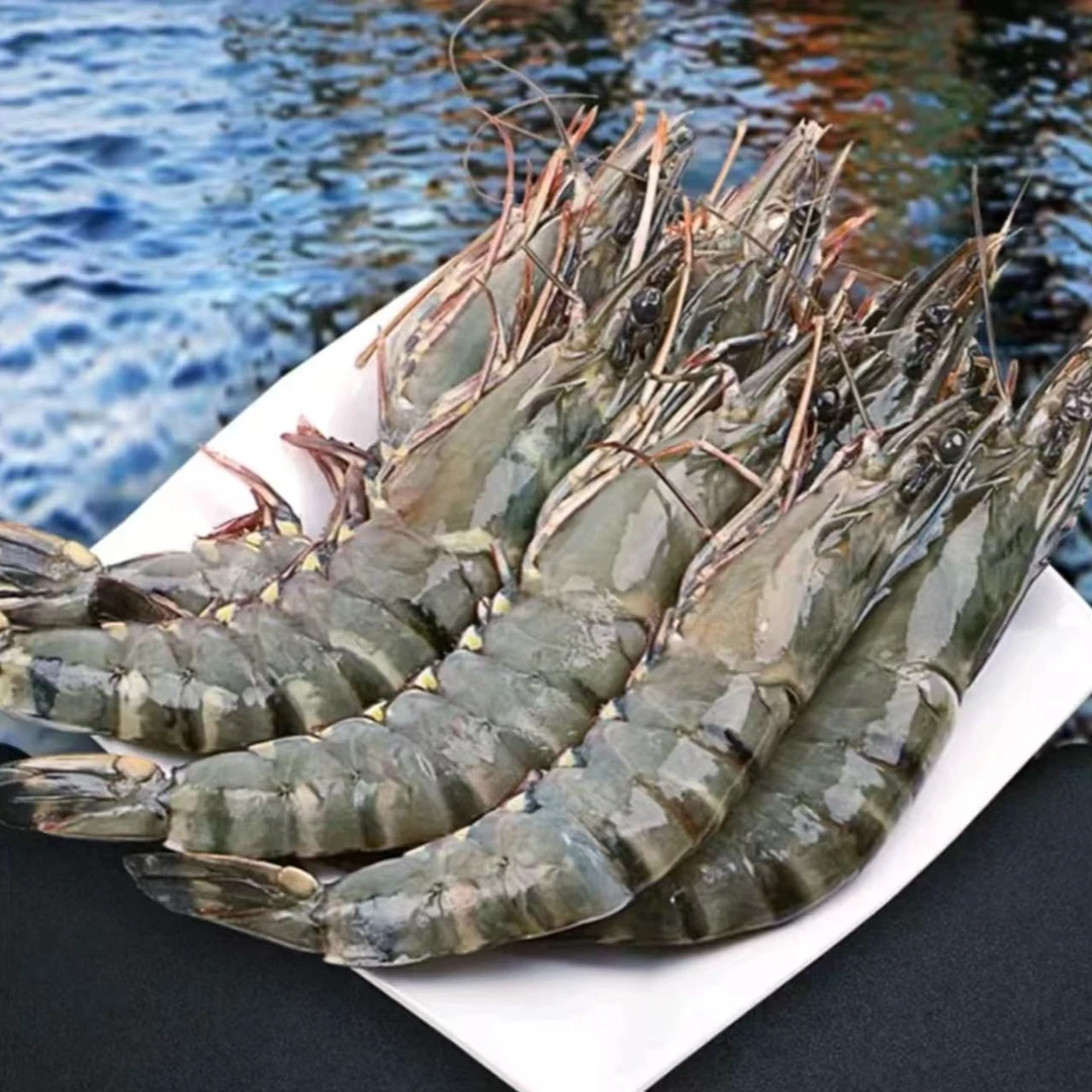 巨无霸 8-10规格 A级黑虎虾速冻锁鲜单只22厘米左右 20-23只/3斤