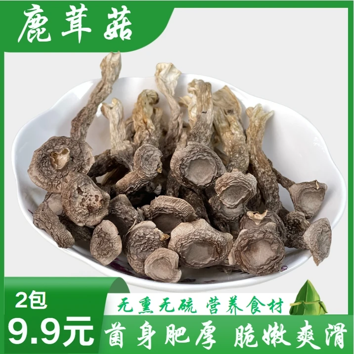 【高山鹿茸菇】鲜香美味高品质煲汤食材干净味道食用菌30克/袋