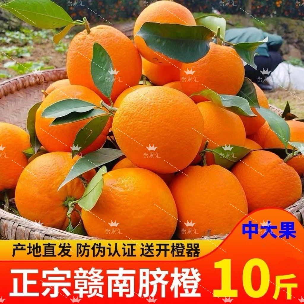 【现摘现发】正宗赣南脐橙江西脐橙新鲜应季水果橙子产地果园直发