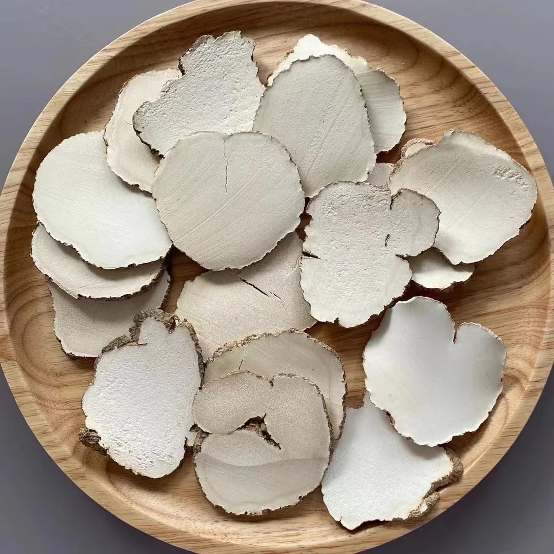【特大片】特大片唬奶菌 奶白菌