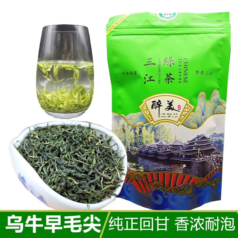 2025新茶广西茶叶 三江绿茶 乌牛早毛尖布央高山纯正嫩芽250g袋装