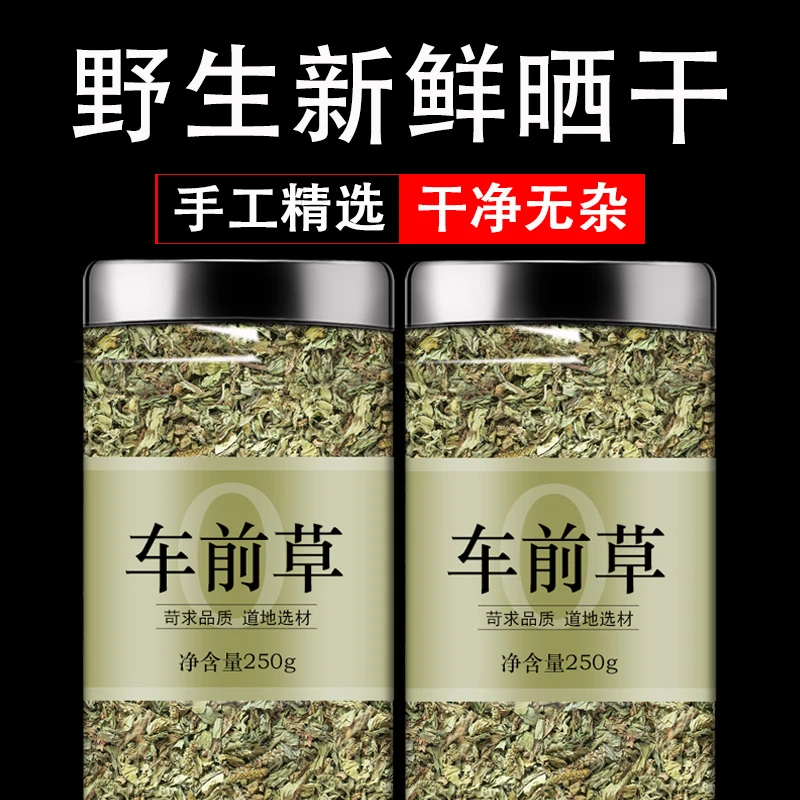车前草材车前草干货袋泡茶新鲜泡水喝另售鱼腥草中药材养生茶