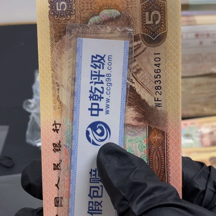 805标十1111111111111