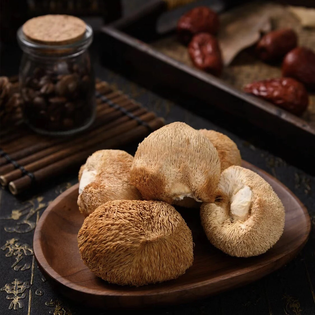 【干货】 野 猴头菇