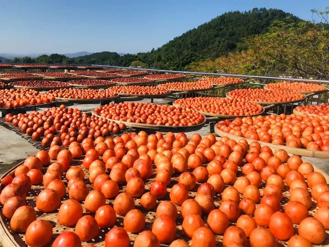 农家 高山本地市子干