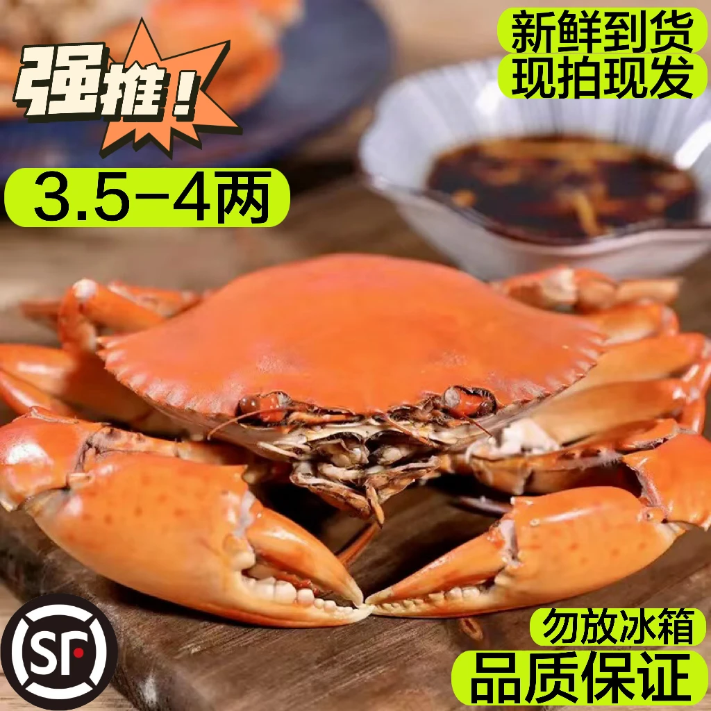 （5只装）每只3.5-4两红膏蟹生鲜海蟹青蟹母蟹肉质饱满鲜美顺丰发货