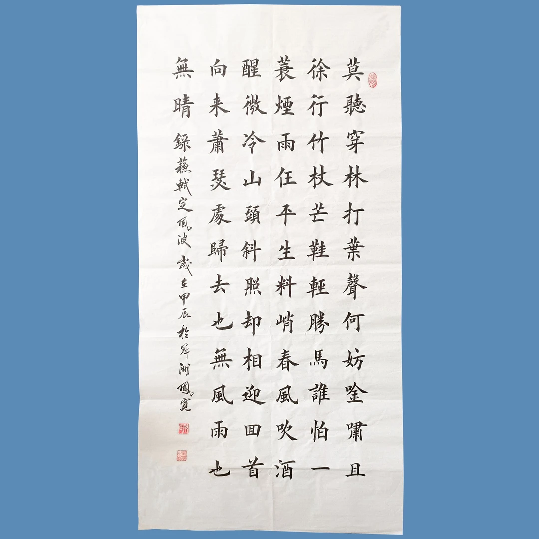 定风波楷书邴凤宽老师四尺整张