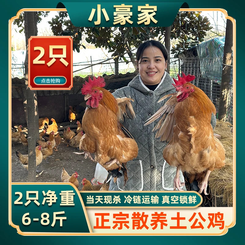【山村小豪+1】放养黑脚土大公鸡 带内脏 两只毛重10斤 净重6斤多