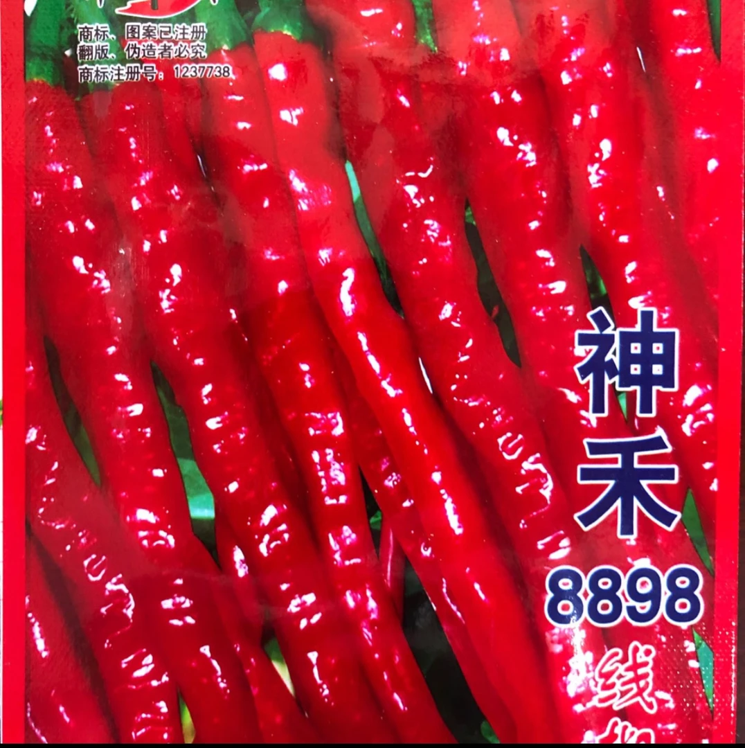 8898线椒辣椒种子