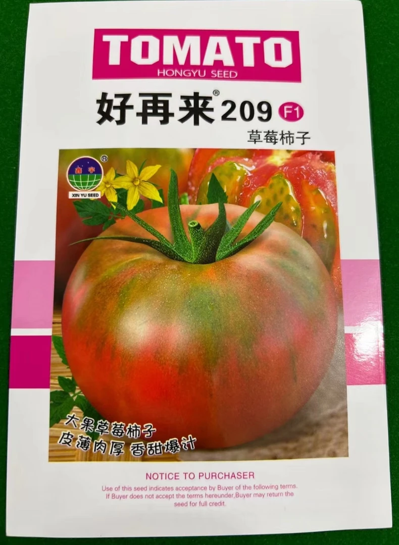 209大草莓柿子种子（拍一发二）