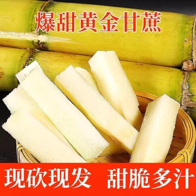 云南甘蔗脆甜多汁现砍新鲜水果孕妇可食