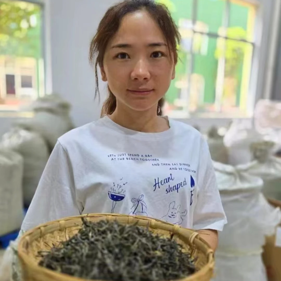 滇源风物元宝山香竹林105号张梅芳古树生普