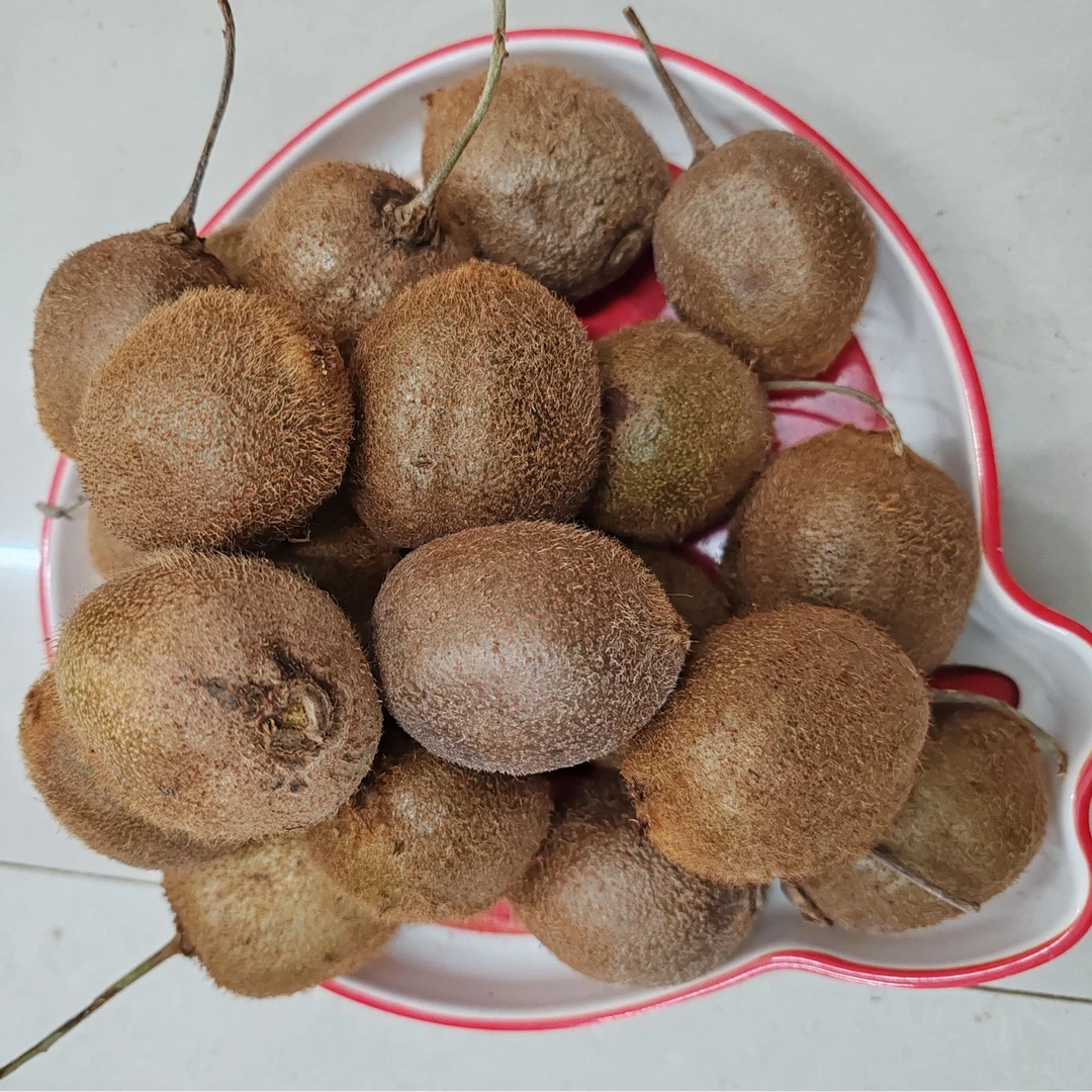 神农架武当山地区野生猕猴桃（杨桃）4-5斤