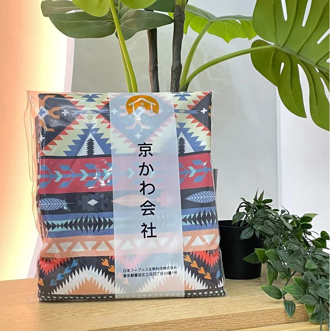 【波西米亚】莱赛尔枕套一对装