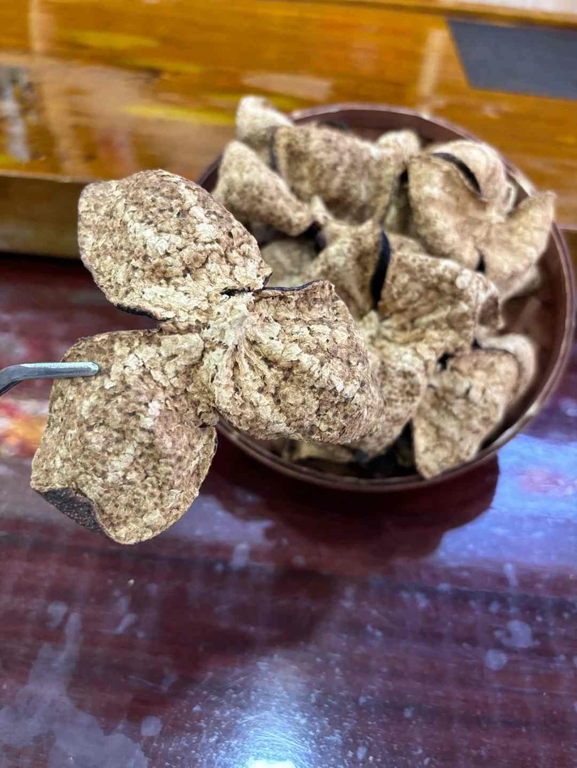 【浓郁梅子香】新会陈皮2013年梅江圈枝薄荷柑皮陈皮茶饮