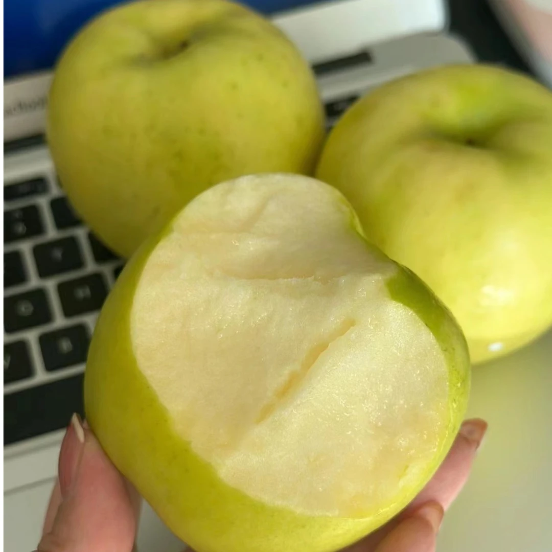 2024昭通丑瑞雪青绿苹果品种晚熟新鲜营养果肉细腻脆甜多汁好吃